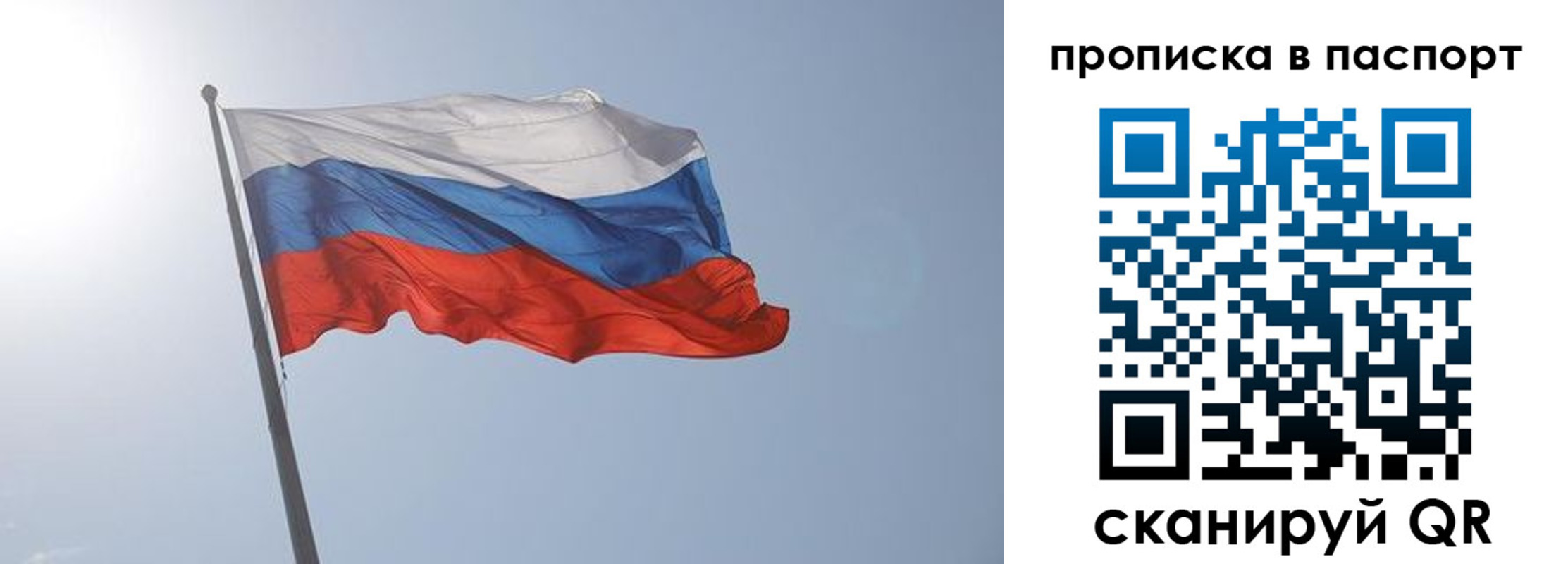 прописка для школы в Торопеце